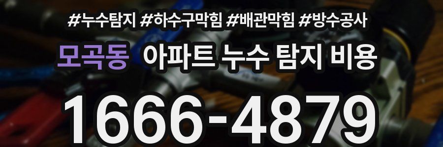 모곡동 아파트 누수 탐지 비용