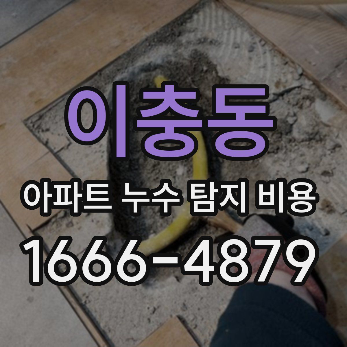 이충동 아파트 누수 탐지 비용