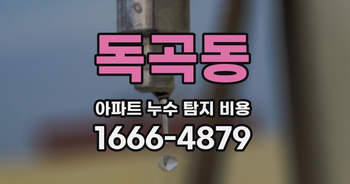 독곡동 아파트 누수 탐지 비용