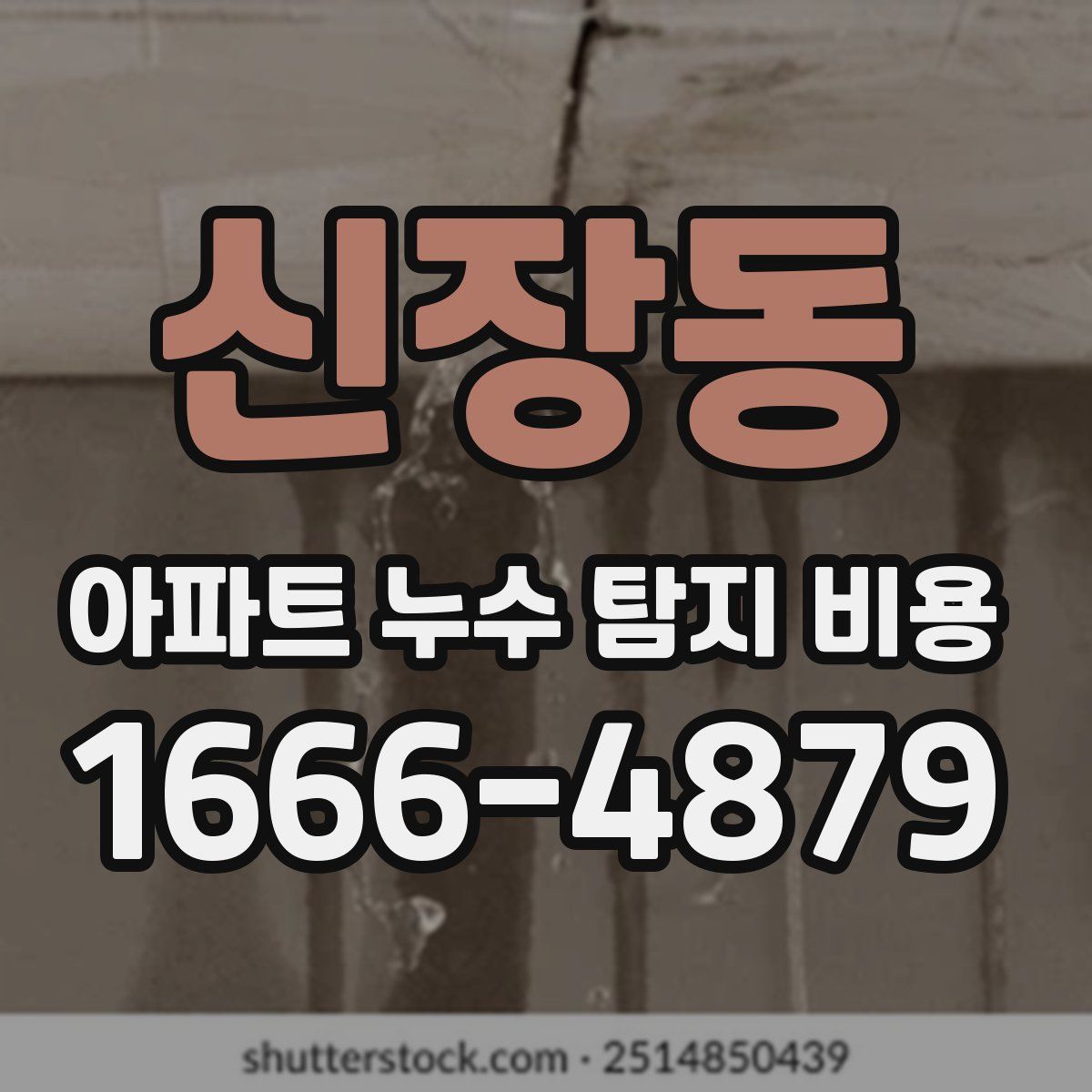 신장동 아파트 누수 탐지 비용