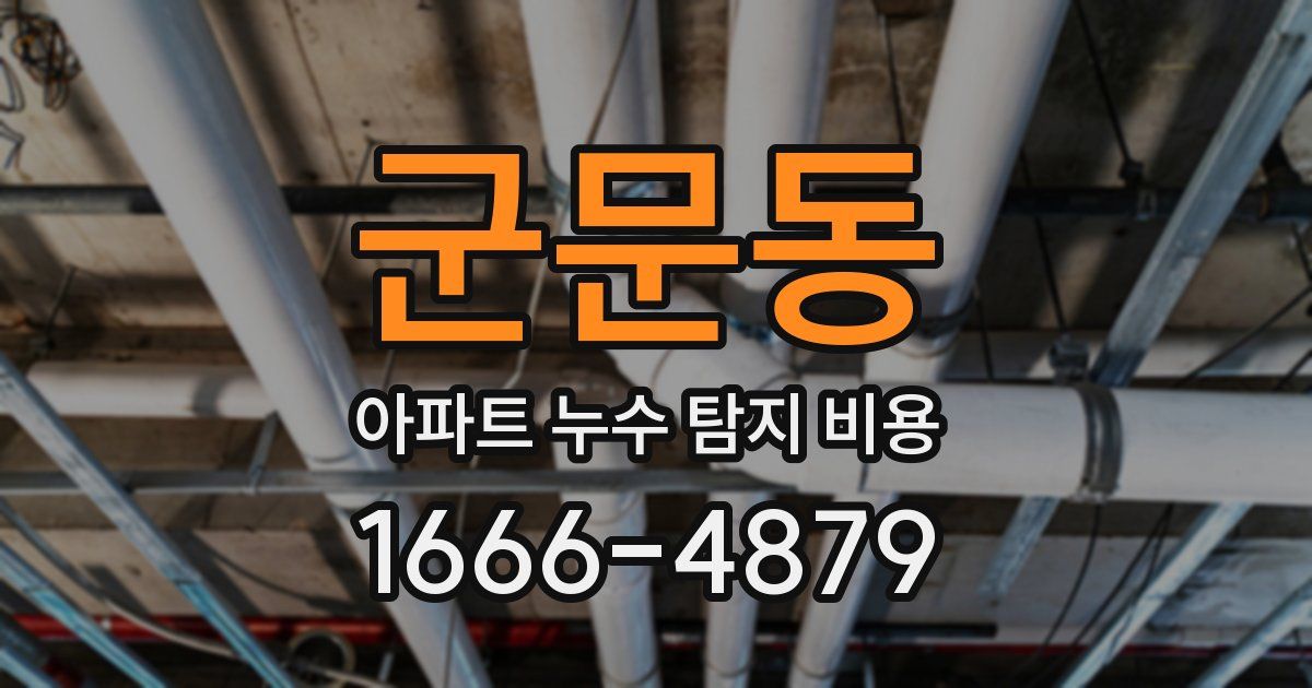 군문동 아파트 누수 탐지 비용