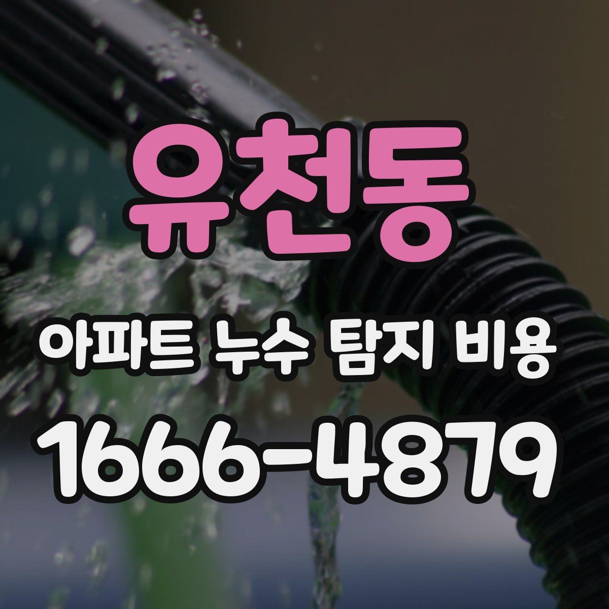유천동 아파트 누수 탐지 비용