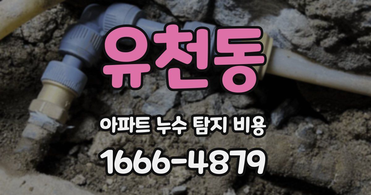 유천동 아파트 누수 탐지 비용