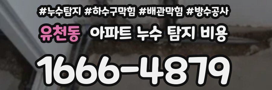 유천동 아파트 누수 탐지 비용