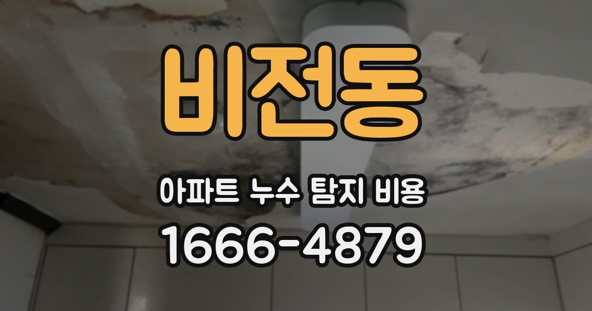 비전동 아파트 누수 탐지 비용
