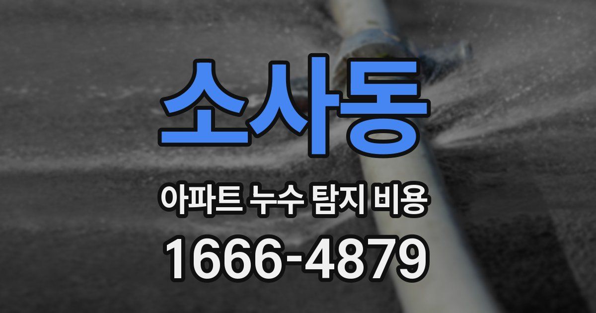 소사동 아파트 누수 탐지 비용