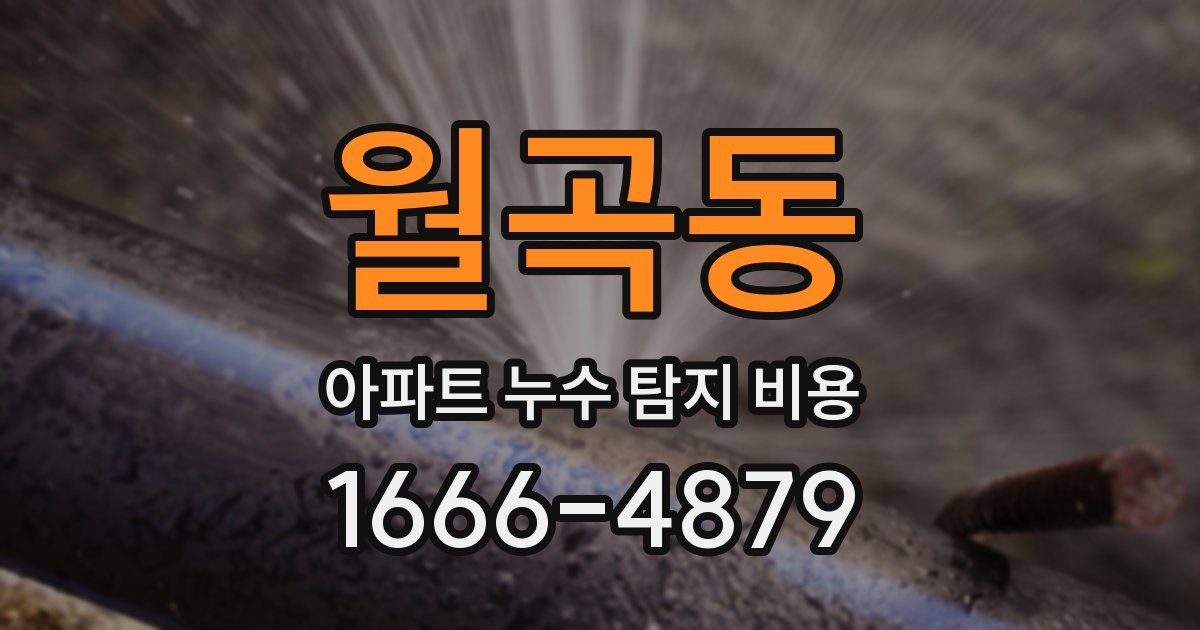 월곡동 아파트 누수 탐지 비용