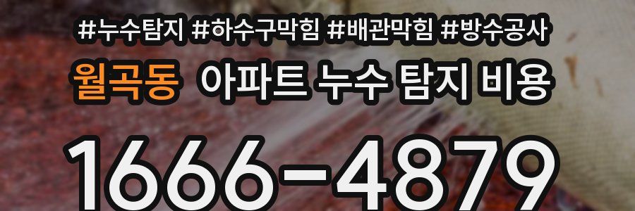 월곡동 아파트 누수 탐지 비용