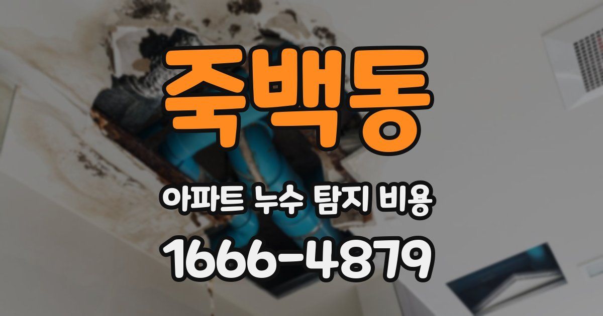 죽백동 아파트 누수 탐지 비용