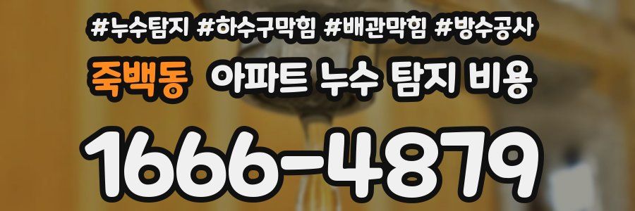 죽백동 아파트 누수 탐지 비용