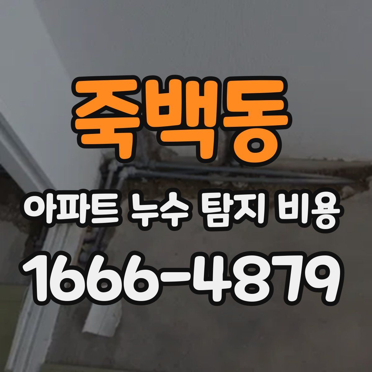 죽백동 아파트 누수 탐지 비용