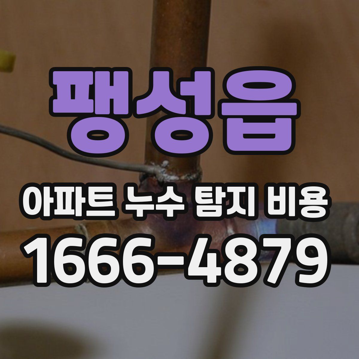 팽성읍 아파트 누수 탐지 비용