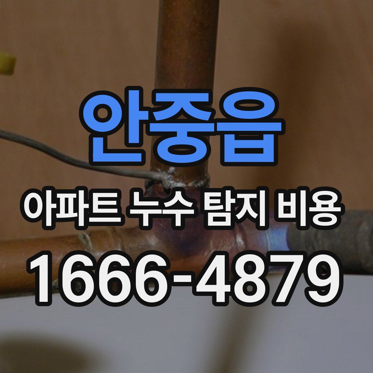 안중읍 아파트 누수 탐지 비용