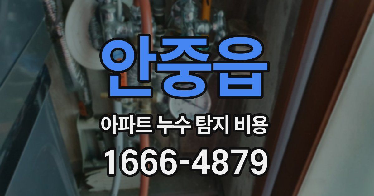 안중읍 아파트 누수 탐지 비용