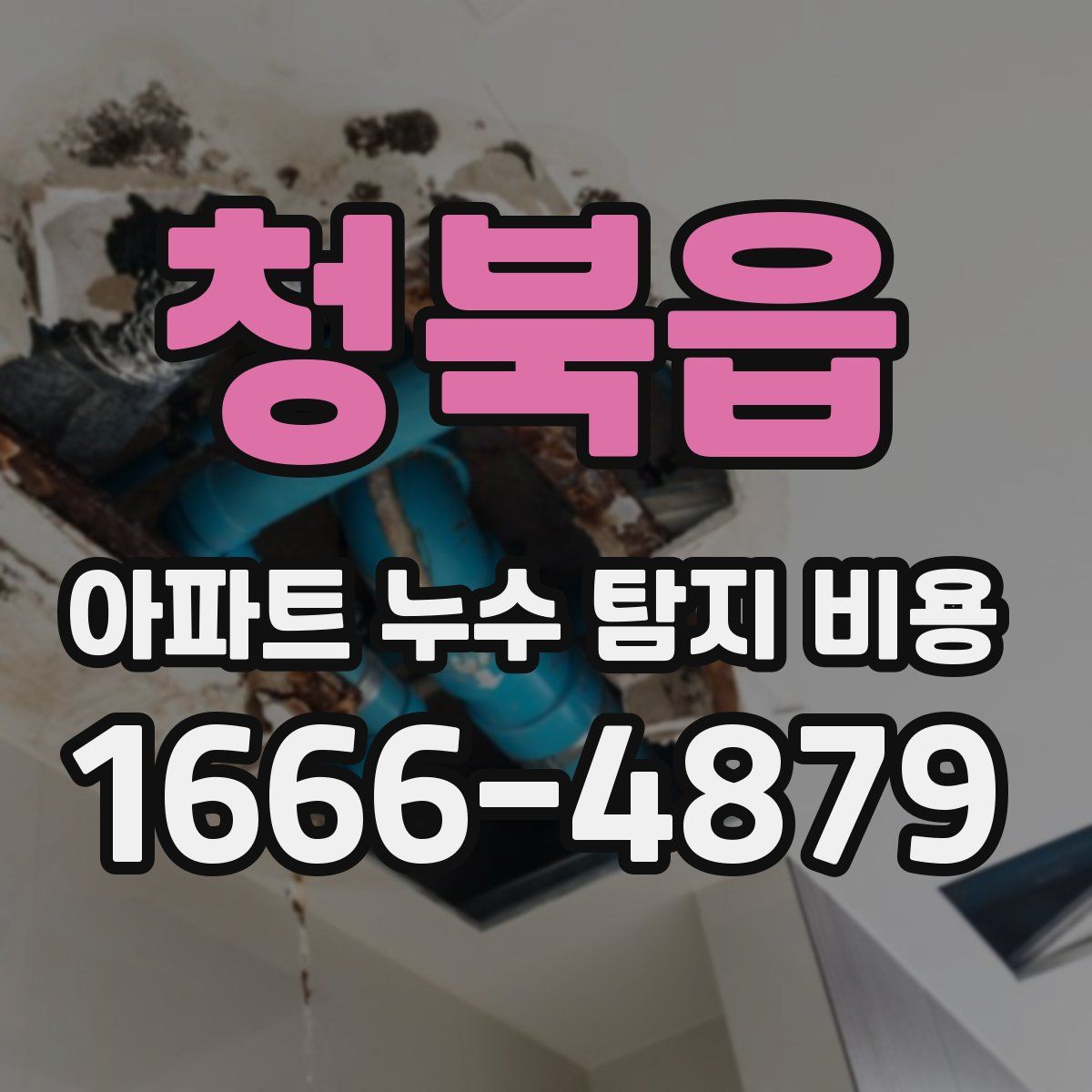 청북읍 아파트 누수 탐지 비용