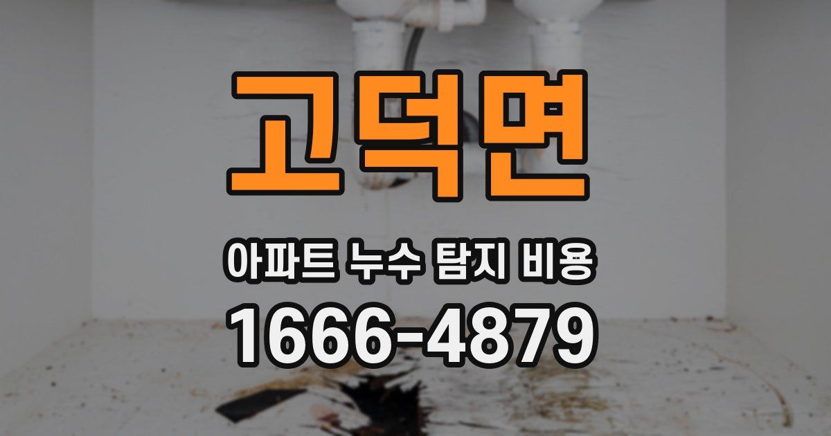 고덕면 아파트 누수 탐지 비용