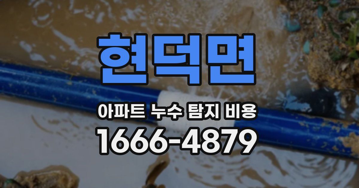 현덕면 아파트 누수 탐지 비용