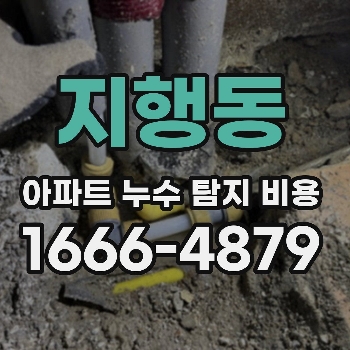 지행동 아파트 누수 탐지 비용