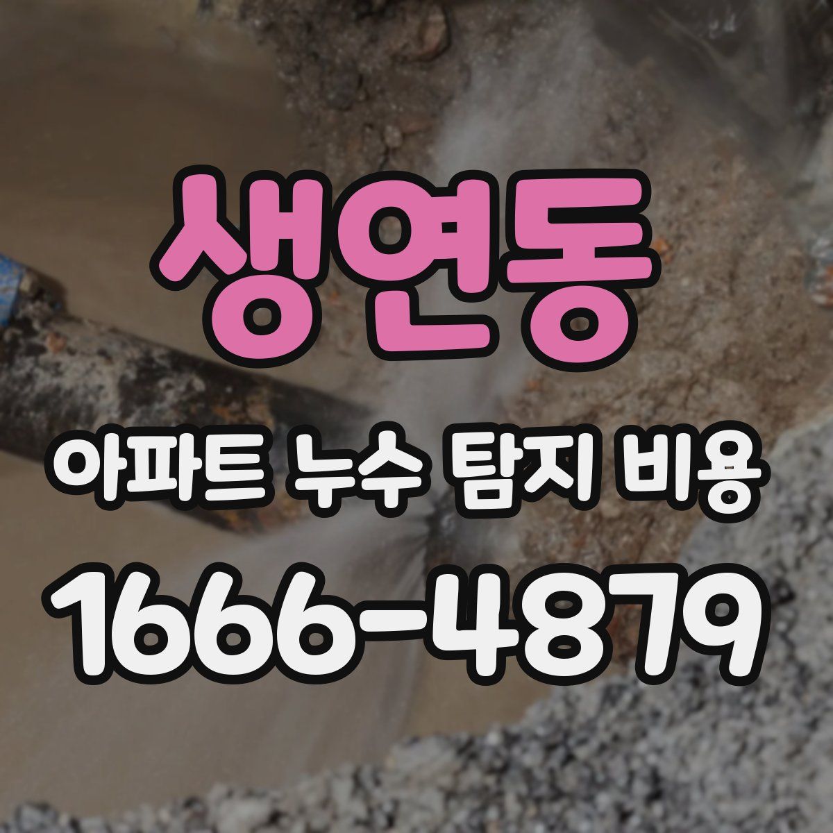 생연동 아파트 누수 탐지 비용