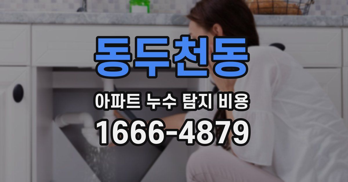 동두천동 아파트 누수 탐지 비용