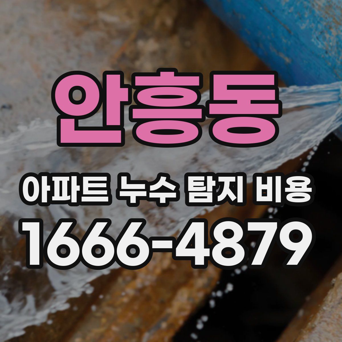 안흥동 아파트 누수 탐지 비용