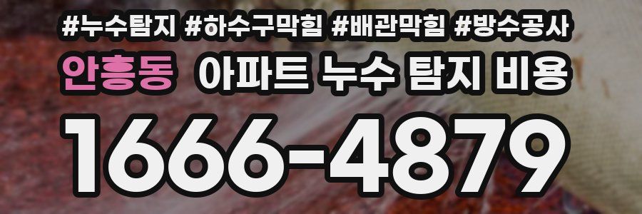 안흥동 아파트 누수 탐지 비용