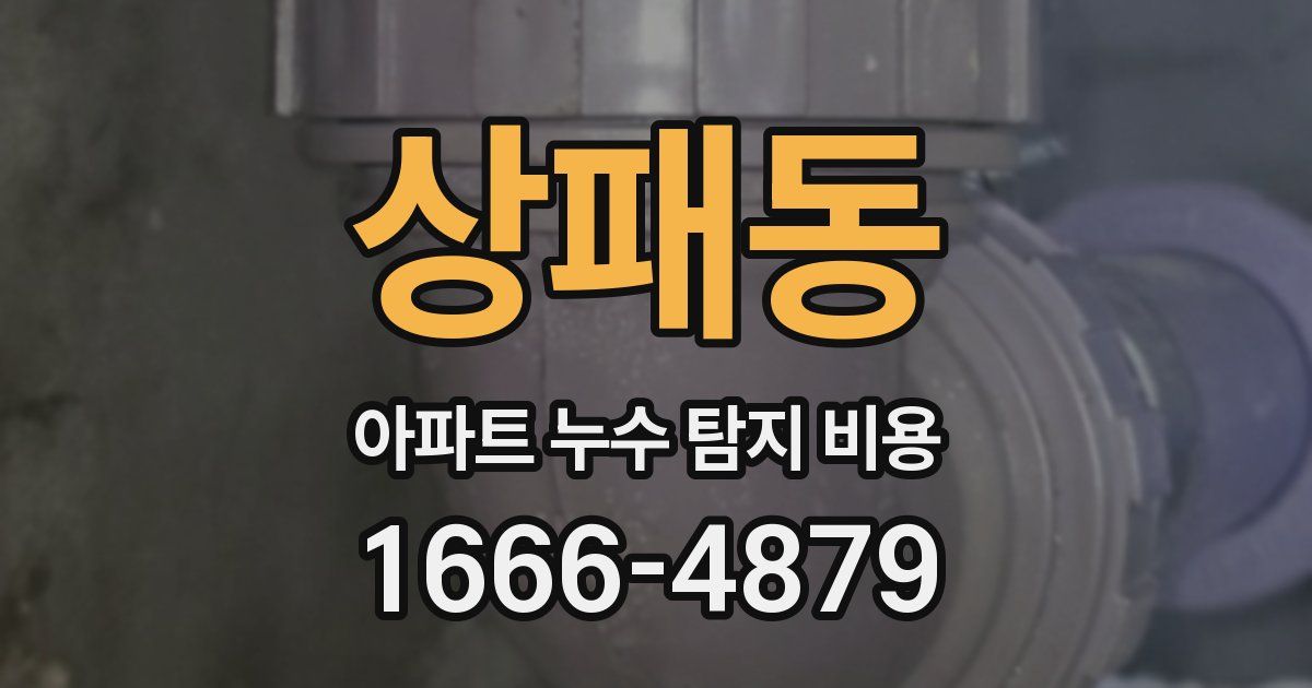 상패동 아파트 누수 탐지 비용