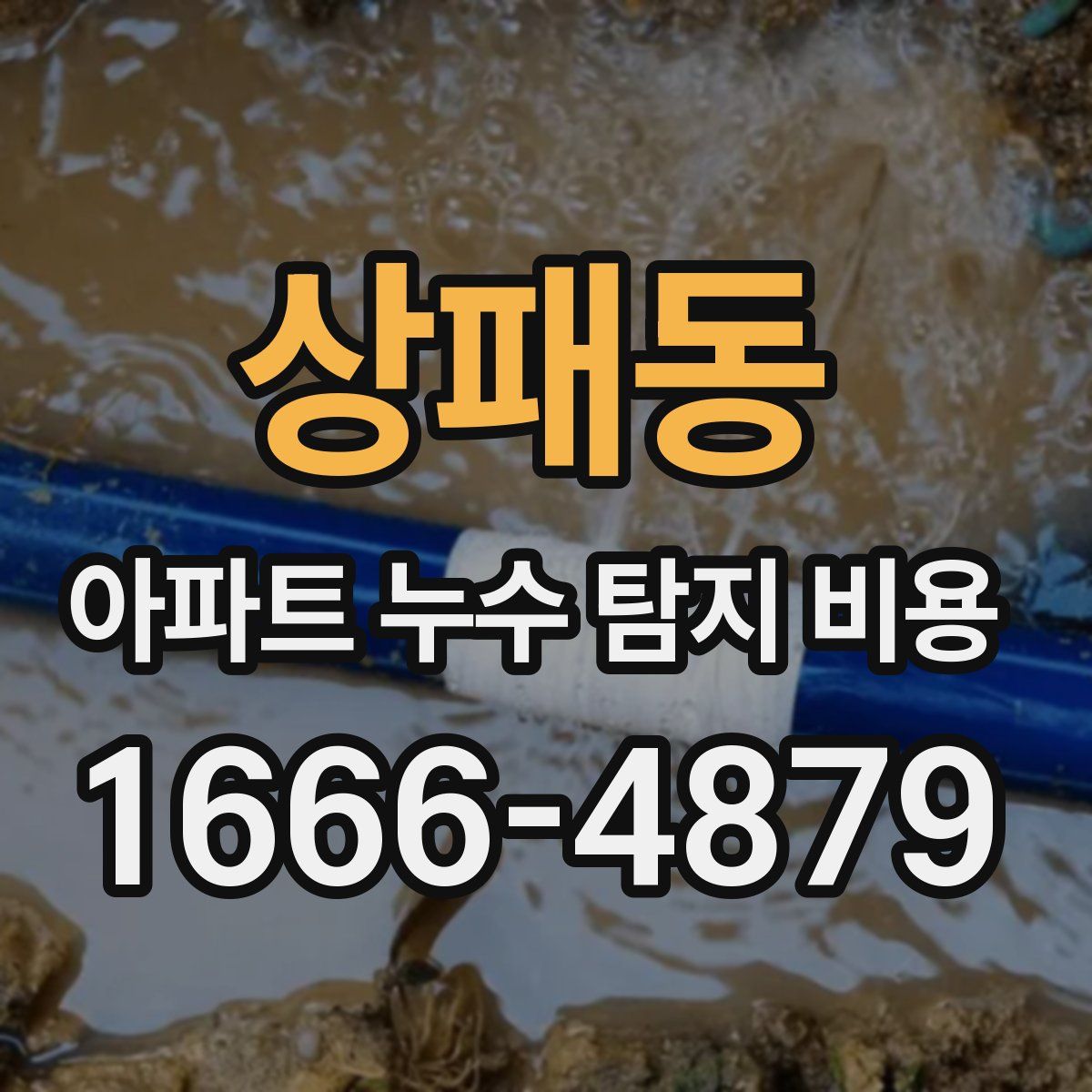상패동 아파트 누수 탐지 비용