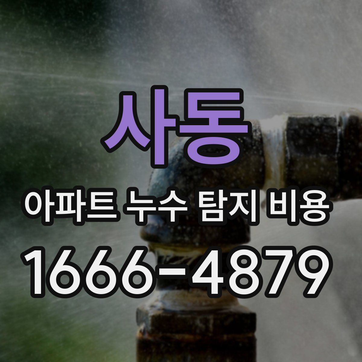 사동 아파트 누수 탐지 비용