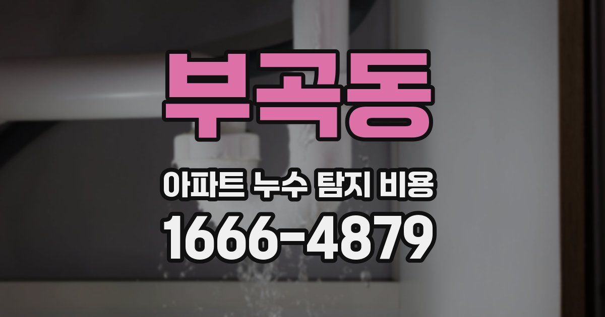 부곡동 아파트 누수 탐지 비용