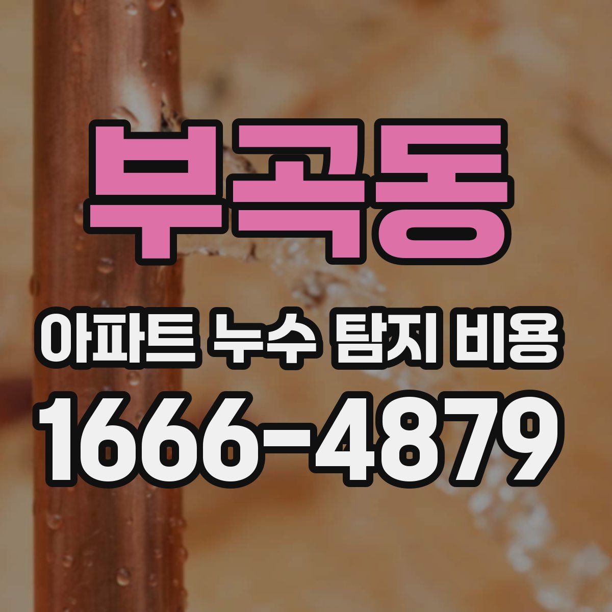 부곡동 아파트 누수 탐지 비용