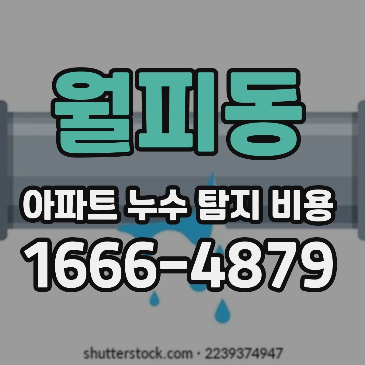 월피동 아파트 누수 탐지 비용