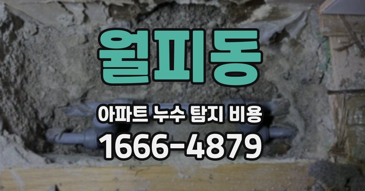 월피동 아파트 누수 탐지 비용