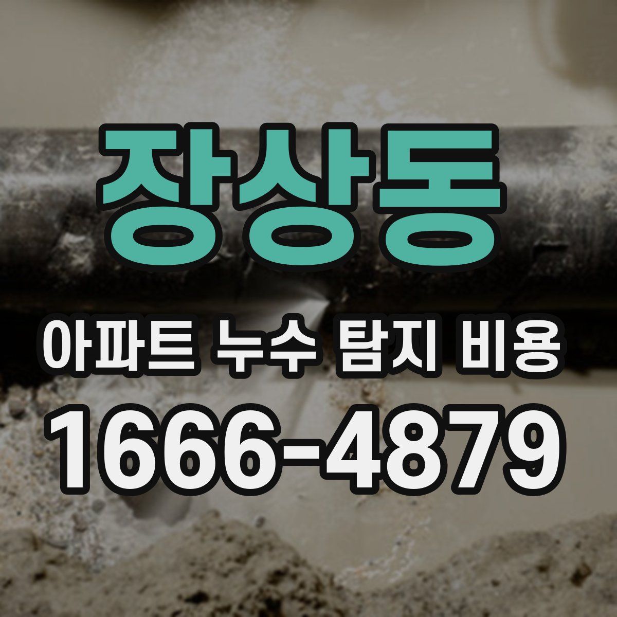 장상동 아파트 누수 탐지 비용