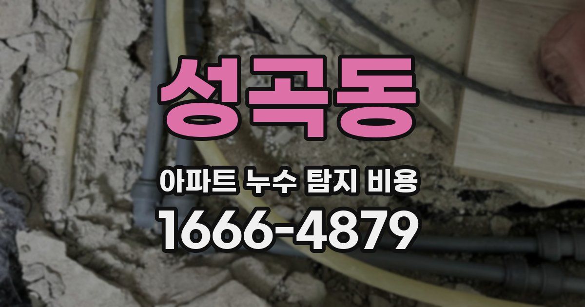 성곡동 아파트 누수 탐지 비용