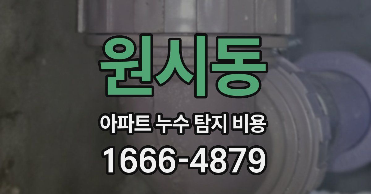 원시동 아파트 누수 탐지 비용