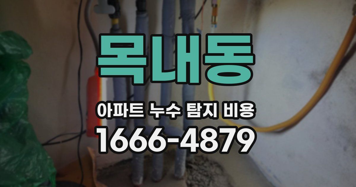목내동 아파트 누수 탐지 비용
