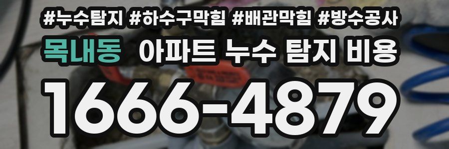 목내동 아파트 누수 탐지 비용