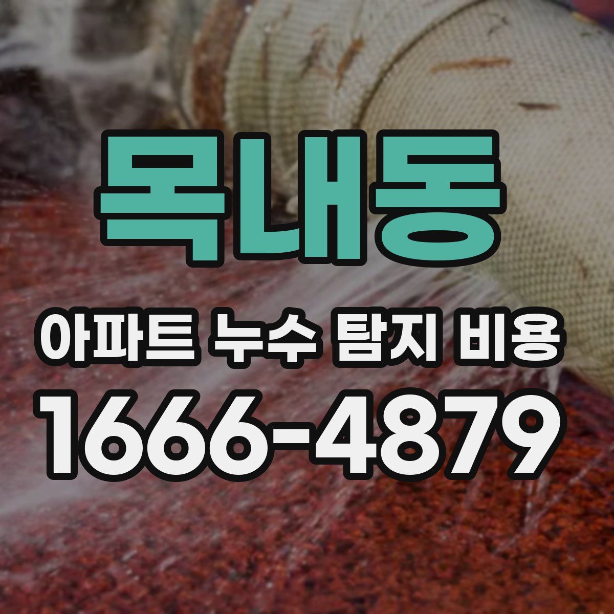 목내동 아파트 누수 탐지 비용