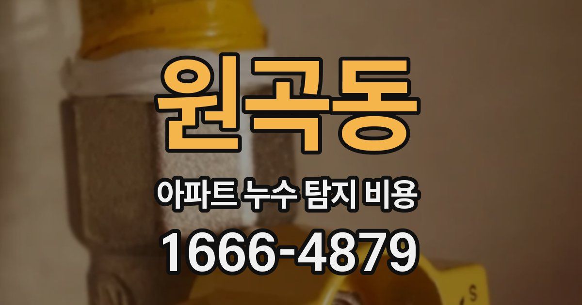 원곡동 아파트 누수 탐지 비용