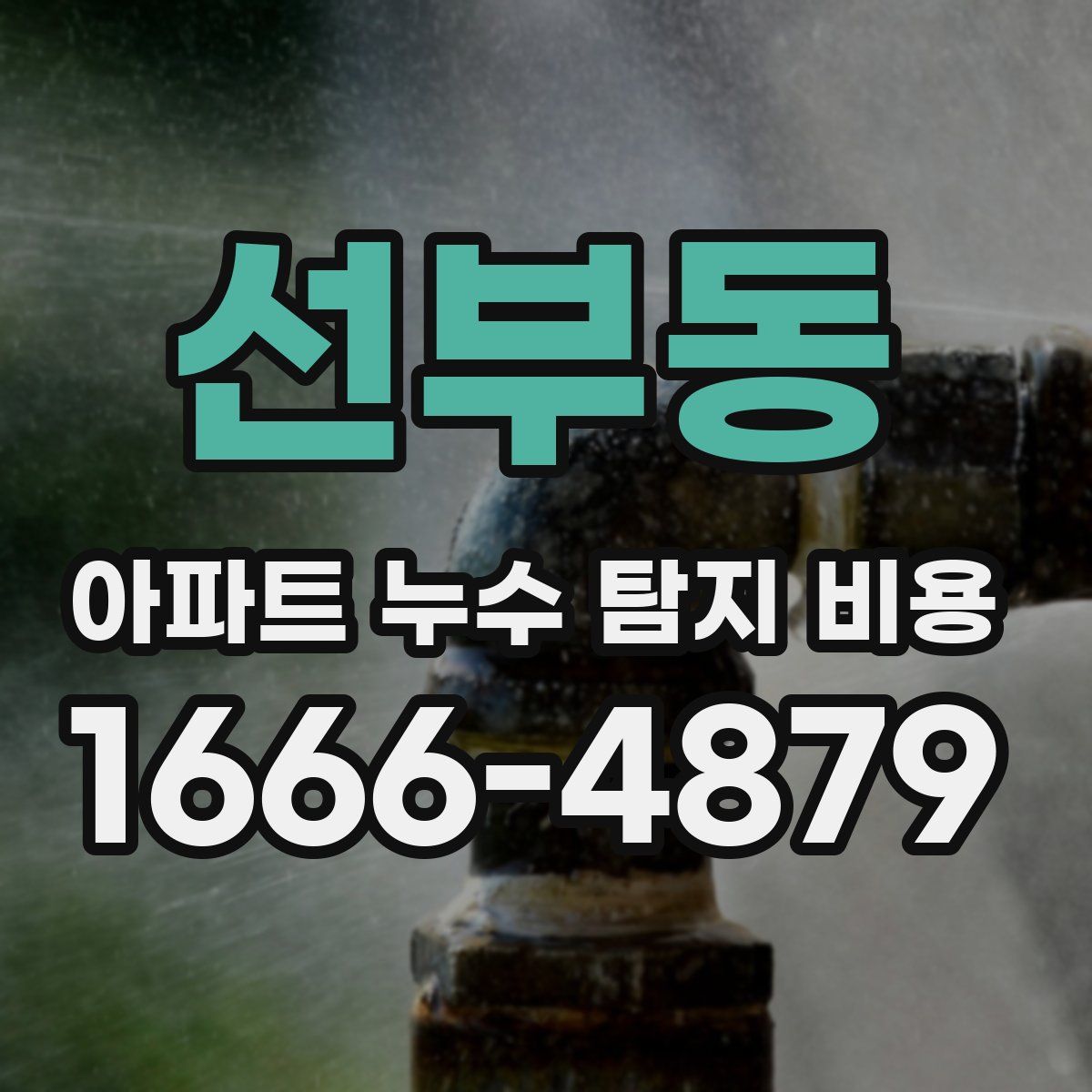 선부동 아파트 누수 탐지 비용