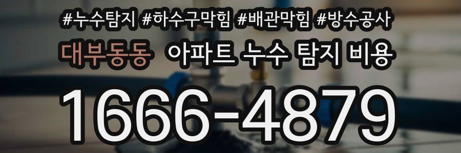 대부동동 아파트 누수 탐지 비용