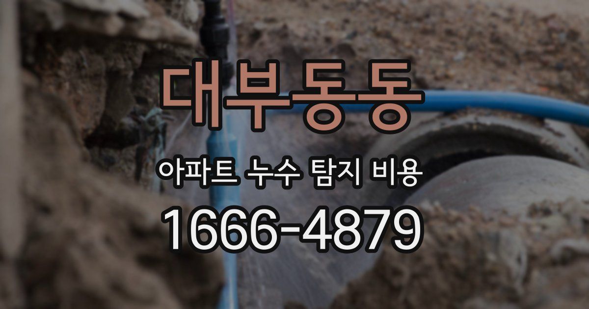 대부동동 아파트 누수 탐지 비용