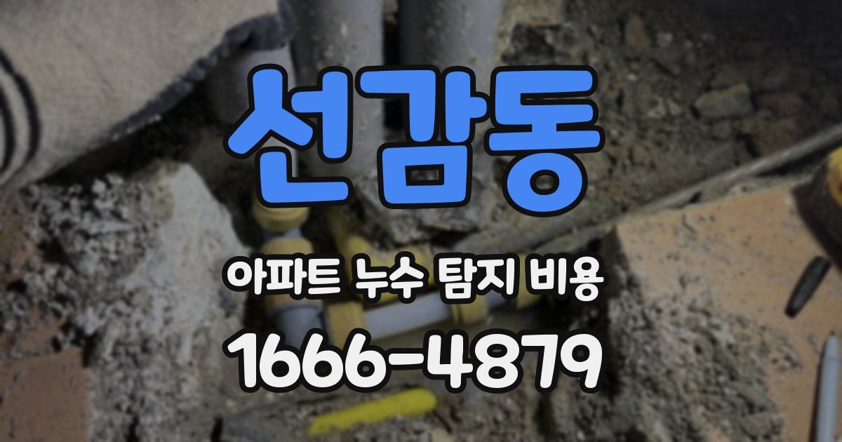 선감동 아파트 누수 탐지 비용