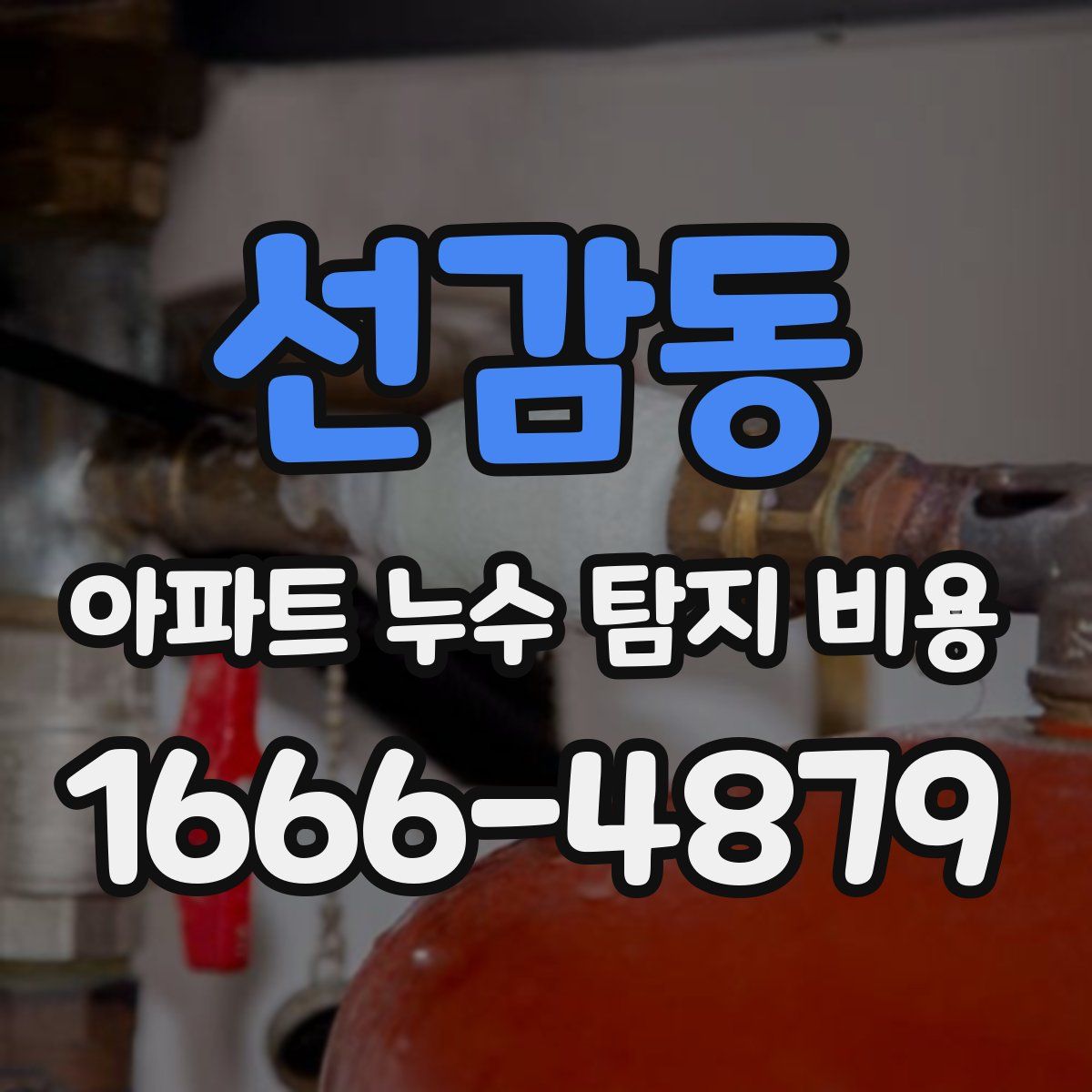 선감동 아파트 누수 탐지 비용