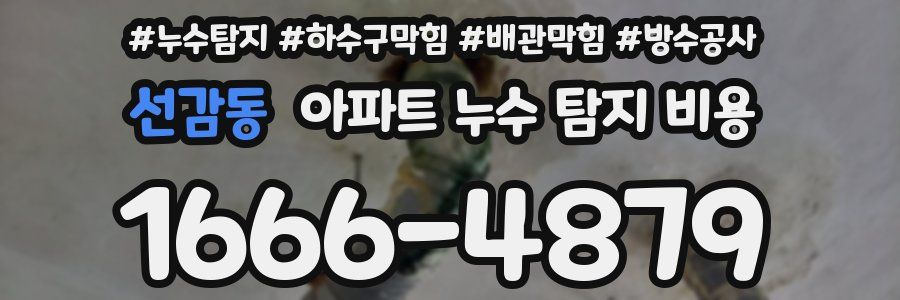 선감동 아파트 누수 탐지 비용