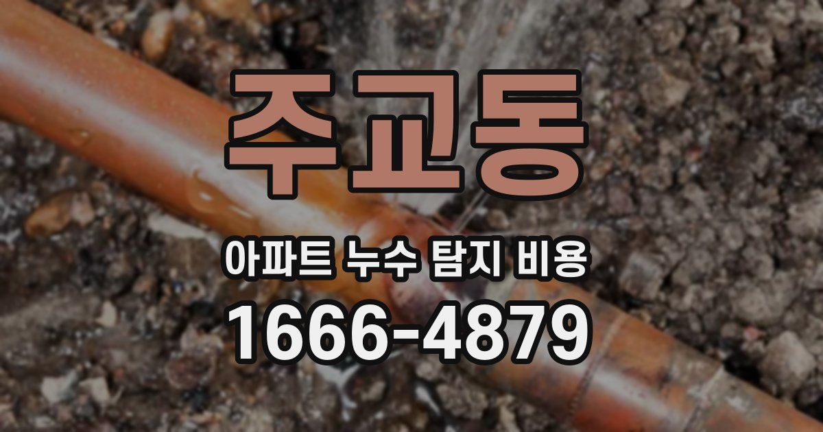 주교동 아파트 누수 탐지 비용