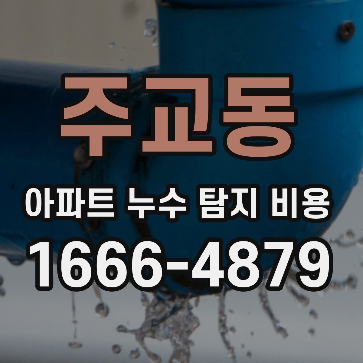 주교동 아파트 누수 탐지 비용