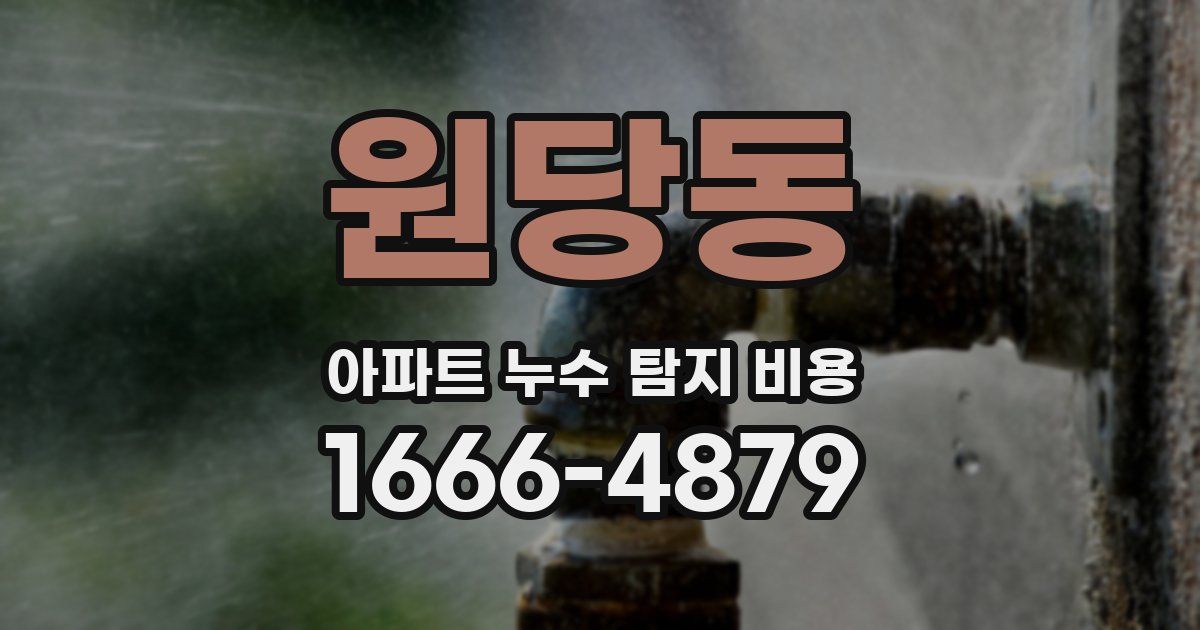 원당동 아파트 누수 탐지 비용