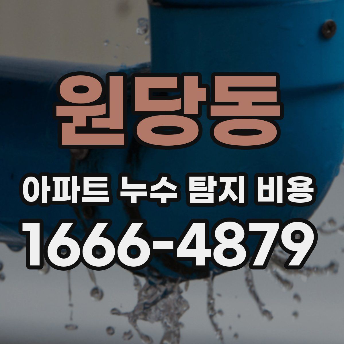 원당동 아파트 누수 탐지 비용
